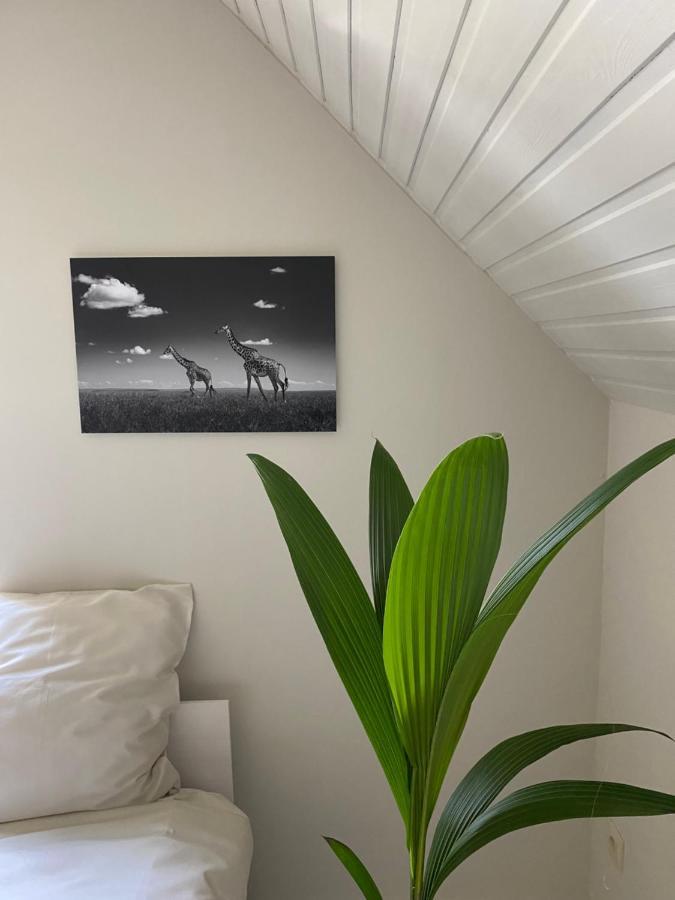خنت B&B Maison Blanche المظهر الخارجي الصورة